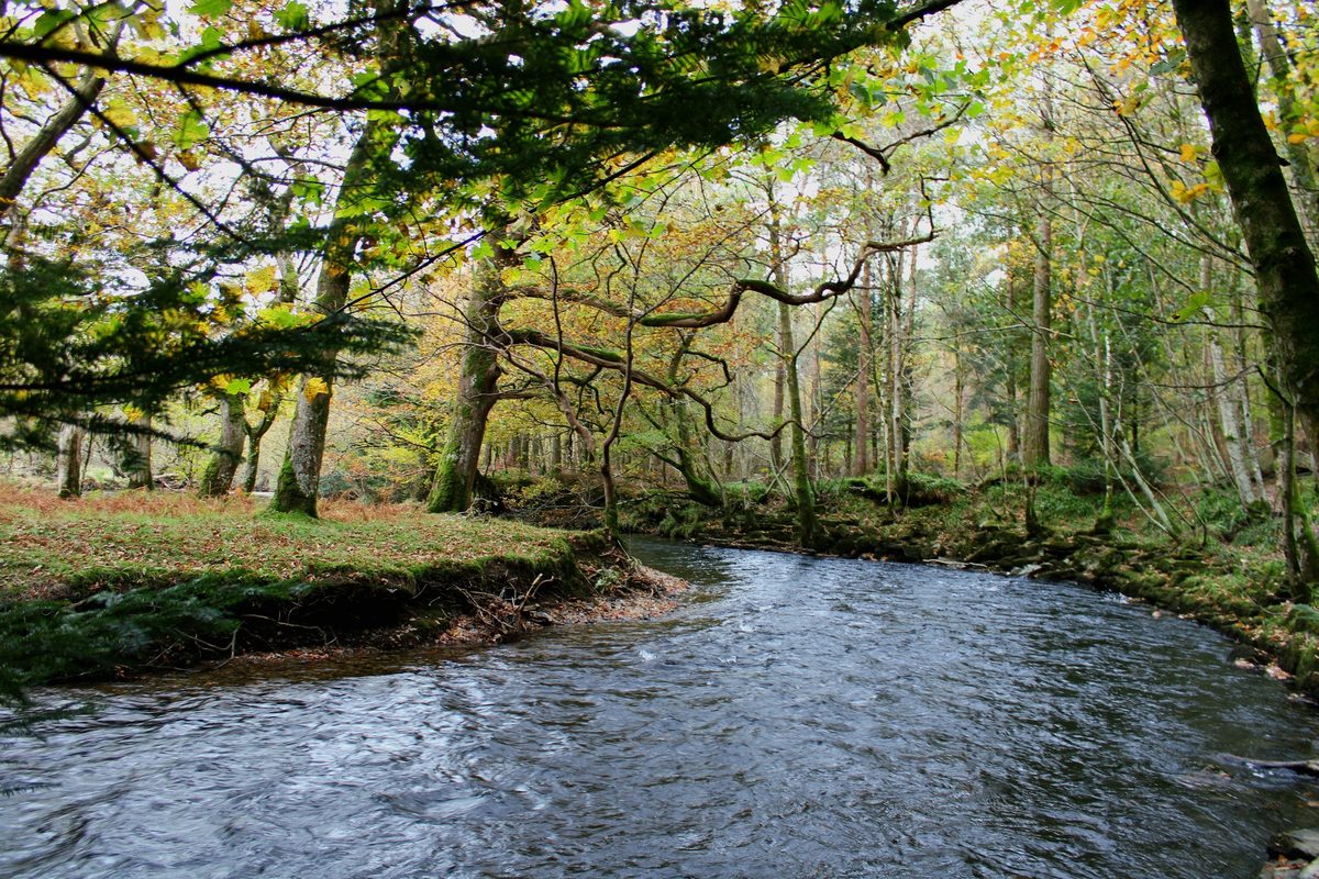 Autumn road in the Lake District with trees and hills