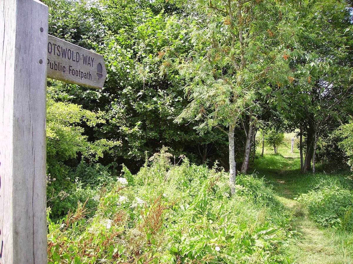 A waymarked Cotswold Way footpath climbing through golden farmland near Broadway