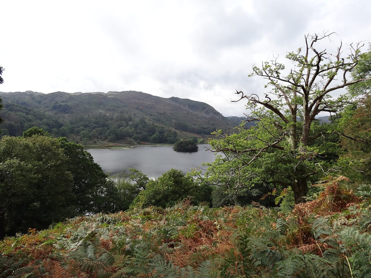 Rydal Water seen from the wooded Coffin Route path, a gentle Lake District loop near Grasmere with autumn colour on the fells