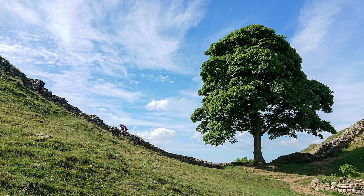 North England road trip view of Hadrian's Wall running across the Northumberland crags