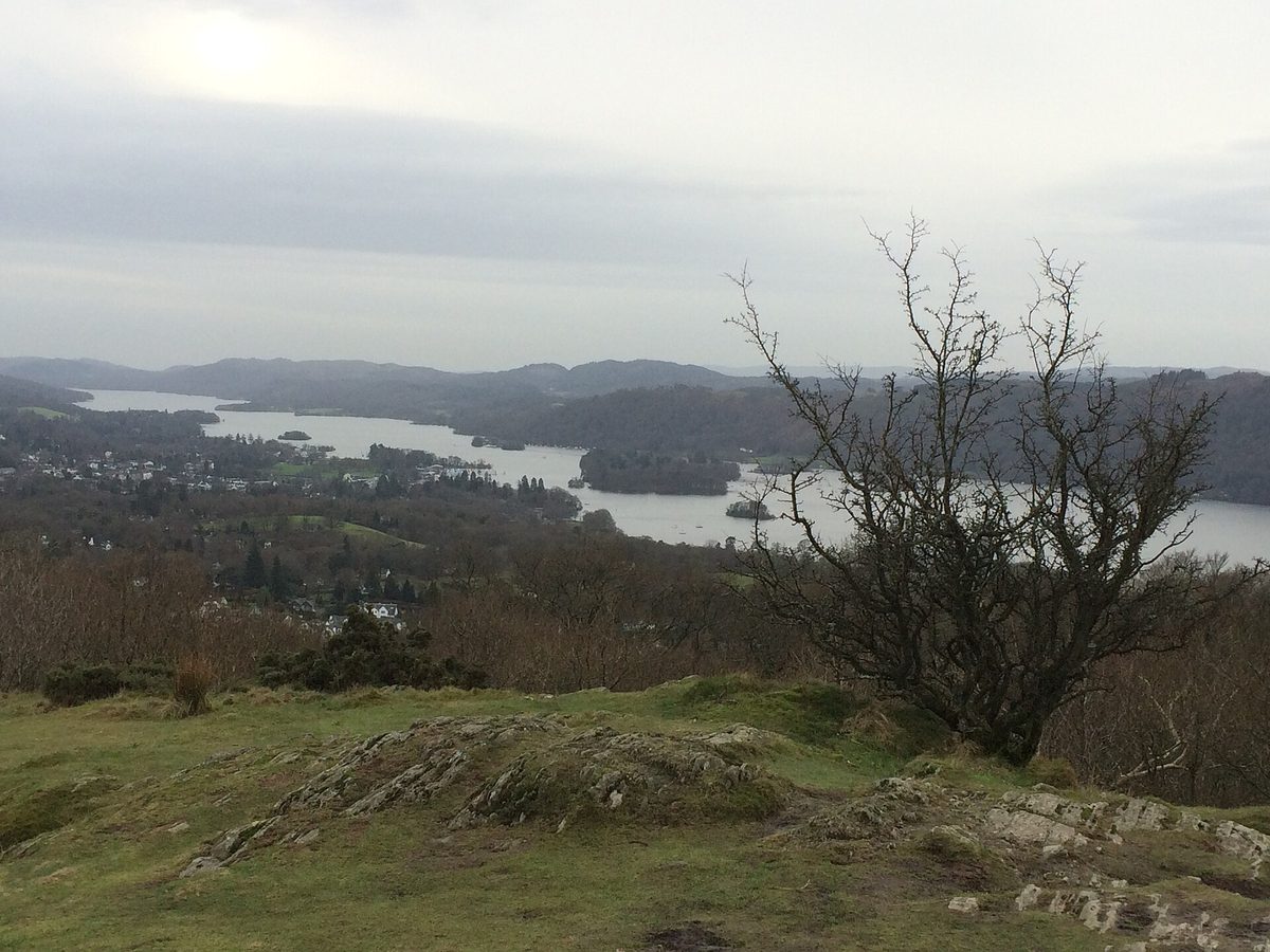 The summit view from Orrest Head looking down over the full length of Lake Windermere toward distant fells